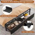 Letto a piattaforma imbottito nero con luci LED e contenitore, King/Queen, 2 cassetti